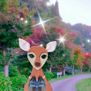 ガラスのくつを抱いて