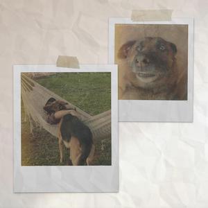 For my lil dog named Krul