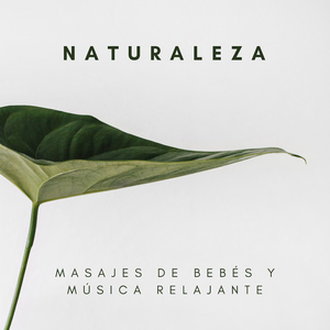 Música Energizante