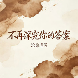 不再深究你的答案(DJ版)