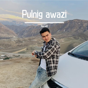 Pulnig awazi