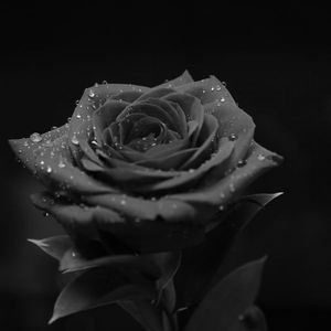 Love Story (Lande Remix)