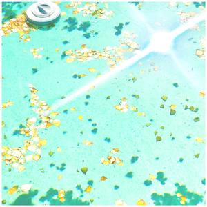 Boy U R The Only One