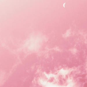 Pink Moon