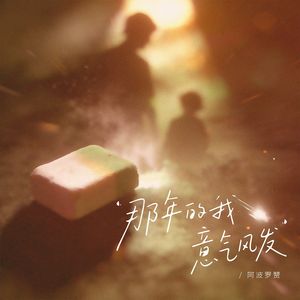 那年的我意气风发