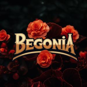 Begonia