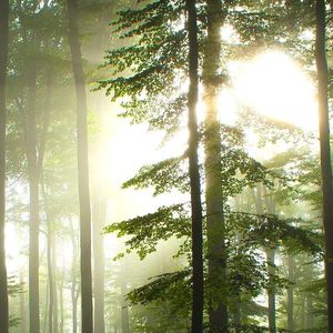 海风与追梦之路