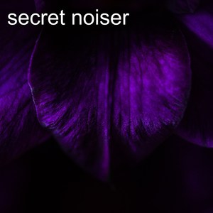 Secret Noiser