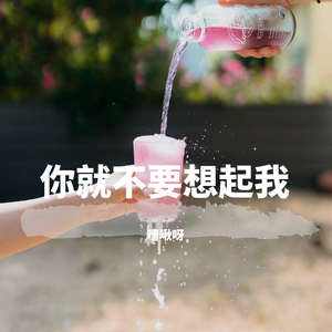 你就不要想起我