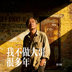 我不做大哥很多年