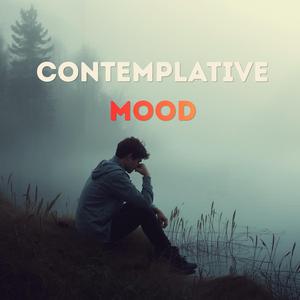 Contemplative Mood