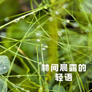 孤独心灵的港湾 (琵琶)