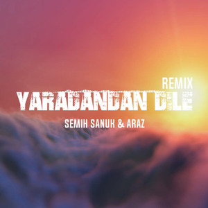 YARADANDAN DILE (Remix)