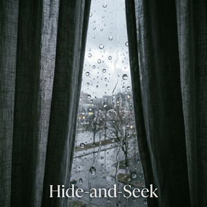 Hide-and-Seek