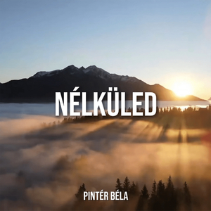 Nélküled