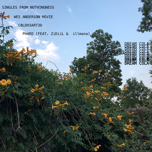 pharo (feat. ziDiiL & Illmana) (Special Version)