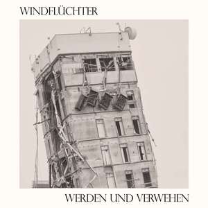 Seeschwalben im Parkdeck