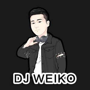 张宇轩-张宇轩 - 爱上你是一个错 MP3（Weiko Remix）（陆西诺 remix）