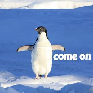 Come On