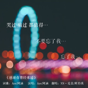 感谢你曾来过