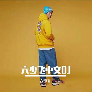 Hai Phút Hơn (DJ六少飞版)