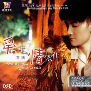 孤单的人总说无所谓