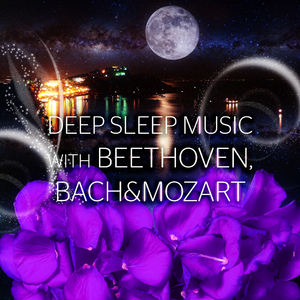 Die Kunst der Fuge, BWV 1080, “The Art of Fuge”: II. Contrapunctus (Harpsichord Version)