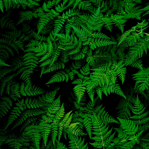 网易的曲名您自定义 (21).wav