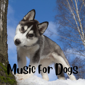 Music for Dogs Peace
