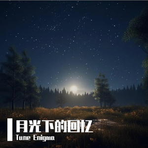 月光下的回忆