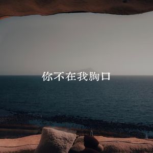 你不在我胸口