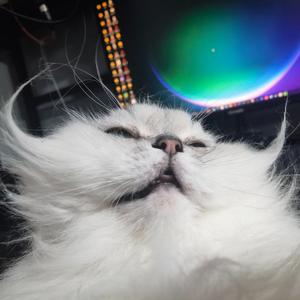 time machine (feat. aren park)