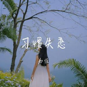 习惯失恋