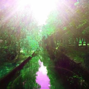 wait up... (feat. brix)