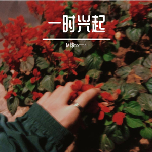 一见钟情？还是一时兴起？