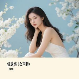 情意结 (女声版)(Remix)