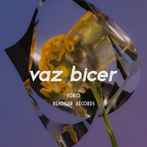 Vaz Bicer