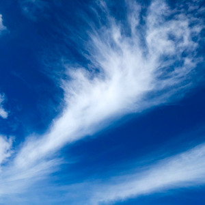 あきらめないで