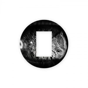 Sinking Cities - Original