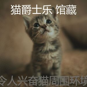 抚慰的小猫回忆