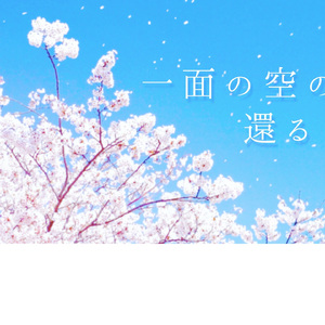 一面の空の青に還るように