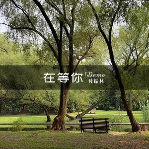 在等你demo