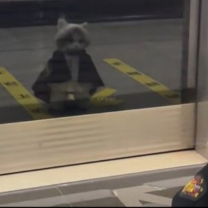 你是我疲惫生活唯一的答案