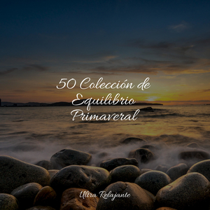 Equilibrio