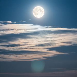 勇气照亮的方向