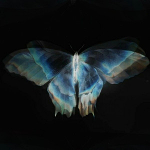 莫西莫西 (想独占你的爱)