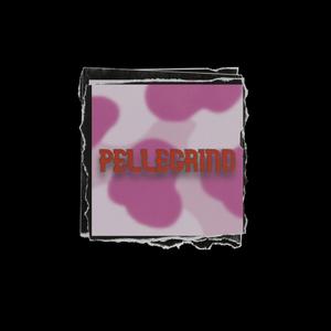 PELLEGRINO