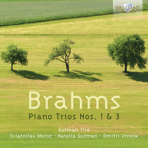 Piano Trio No. 1 in B Major, Op. 8: IV. Allegro