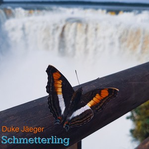 Schmetterling