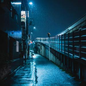 Electric Nights